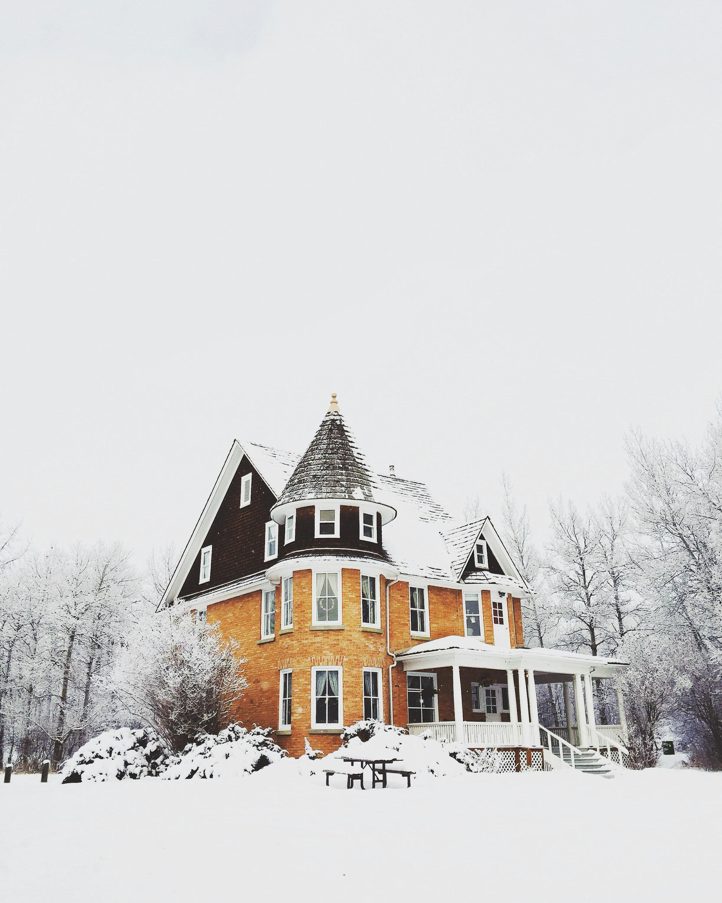Understanding Familial Dynamics and Trauma