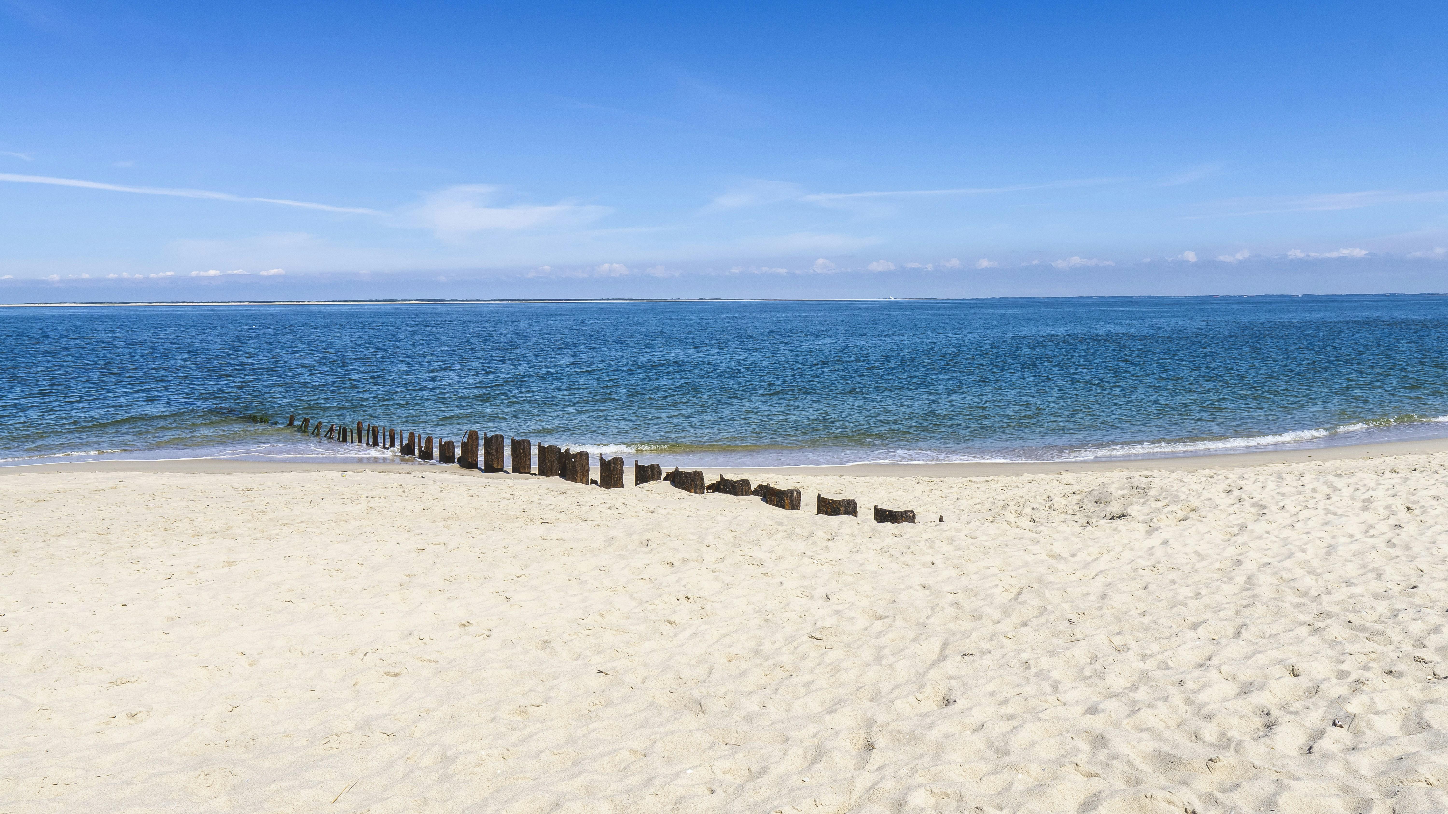 Impact on Public Perception ⁣and Education