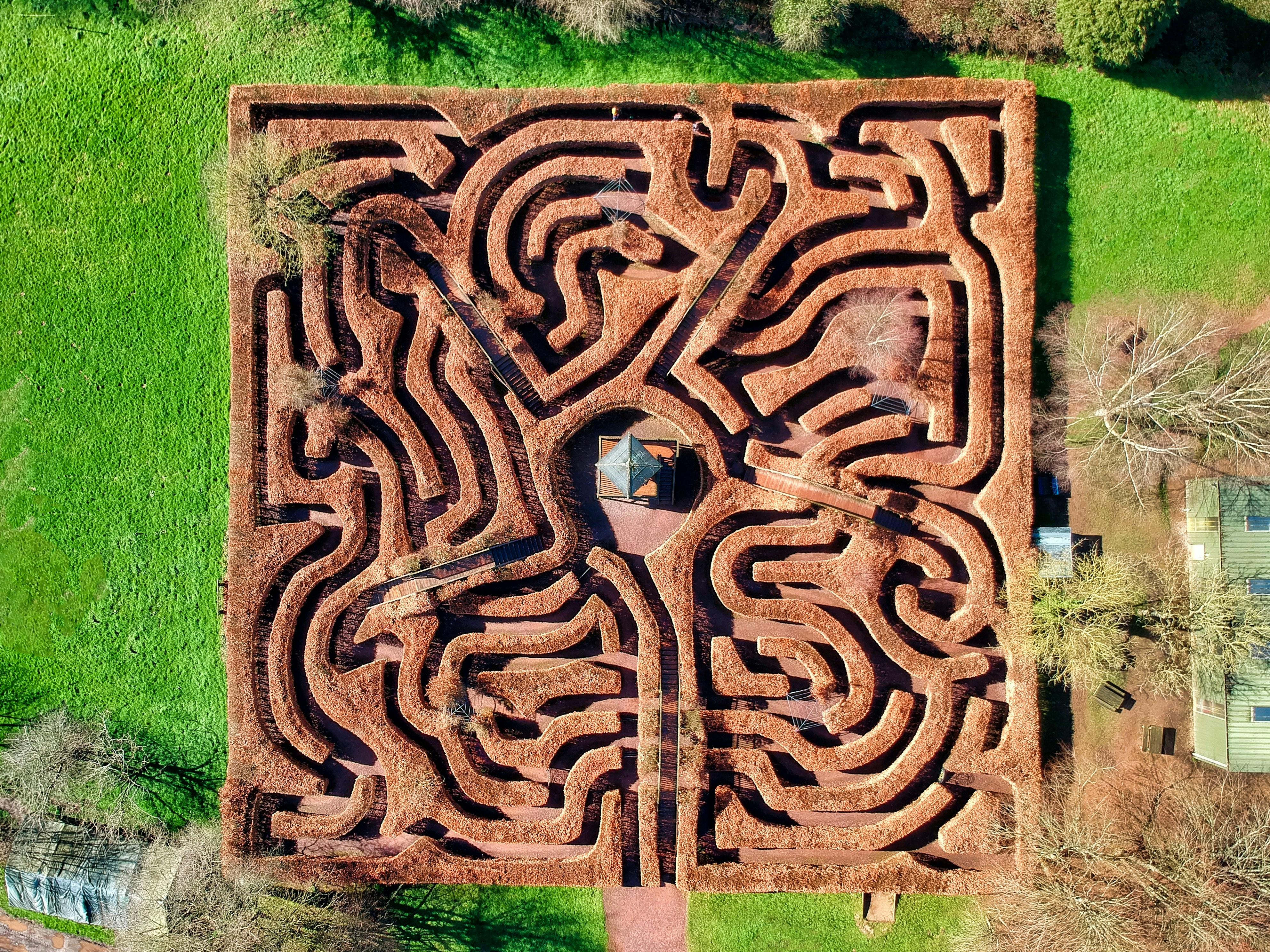 The Maze as a Metaphor for Psychological Entanglement