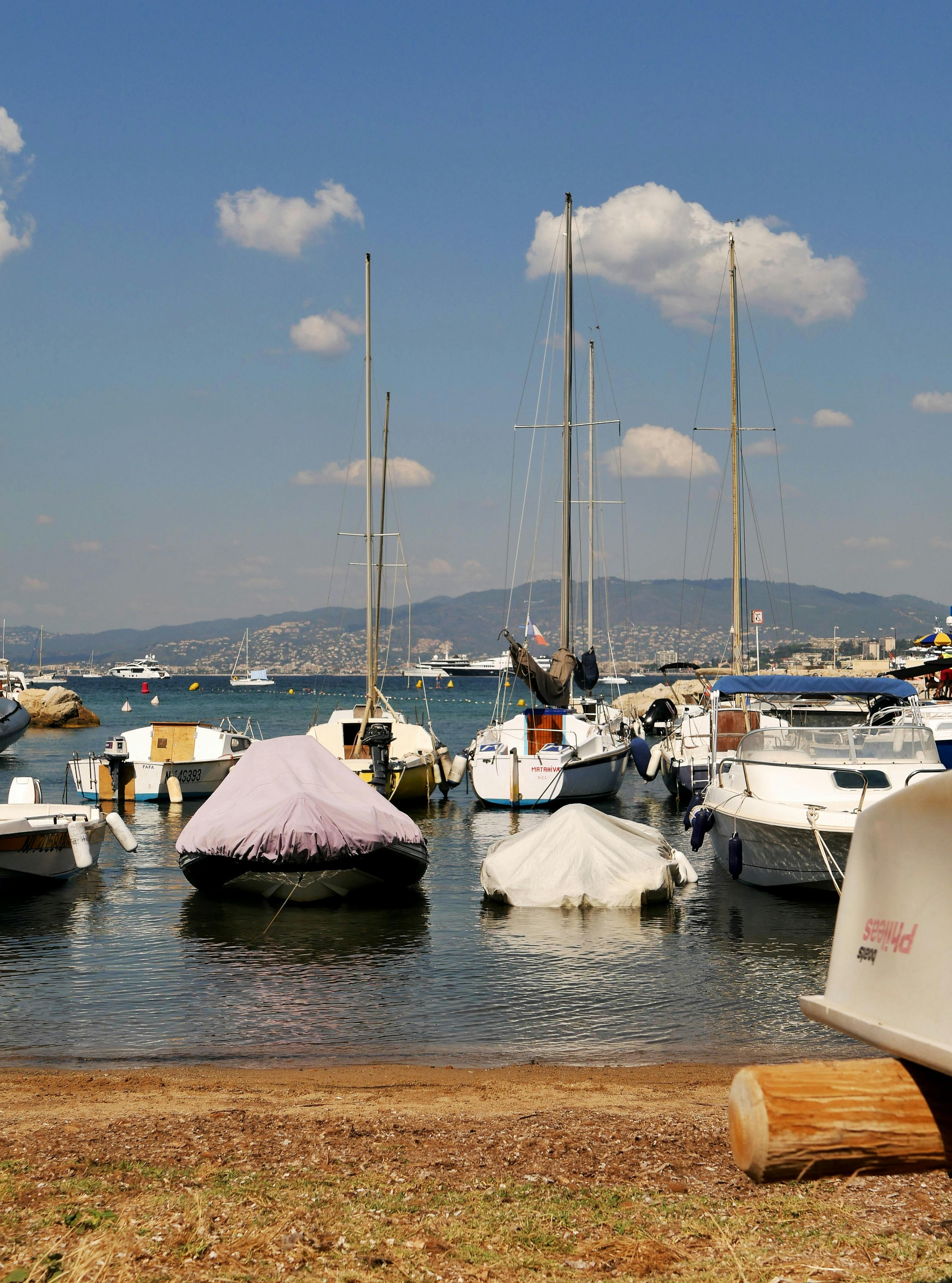 Leveraging Cannes Buzz for Oscar Campaigns