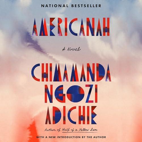 Literary Techniques That Enhance the Immigrant Story in Americanah