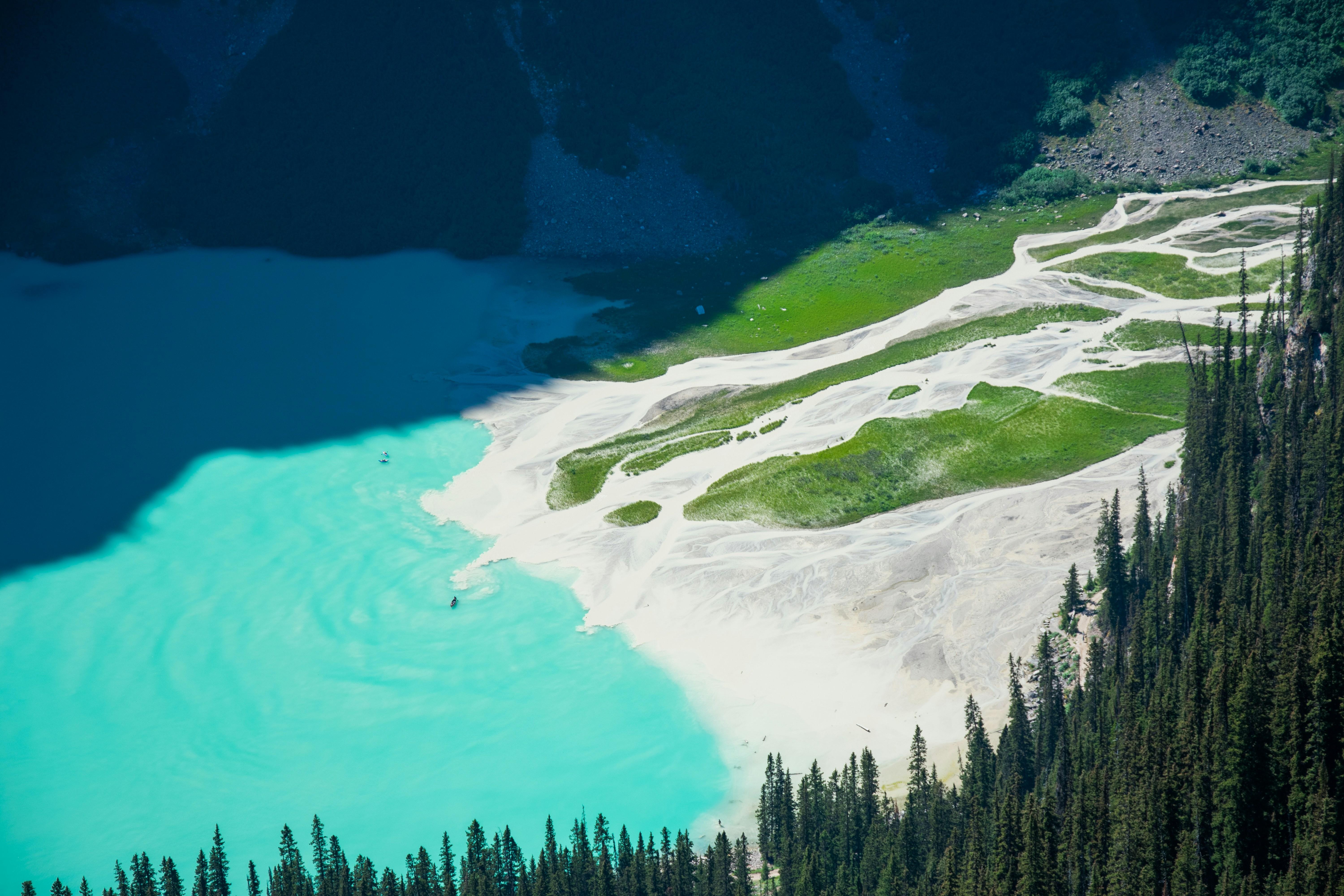 The Role of Patriarchy in Shaping the Narrative