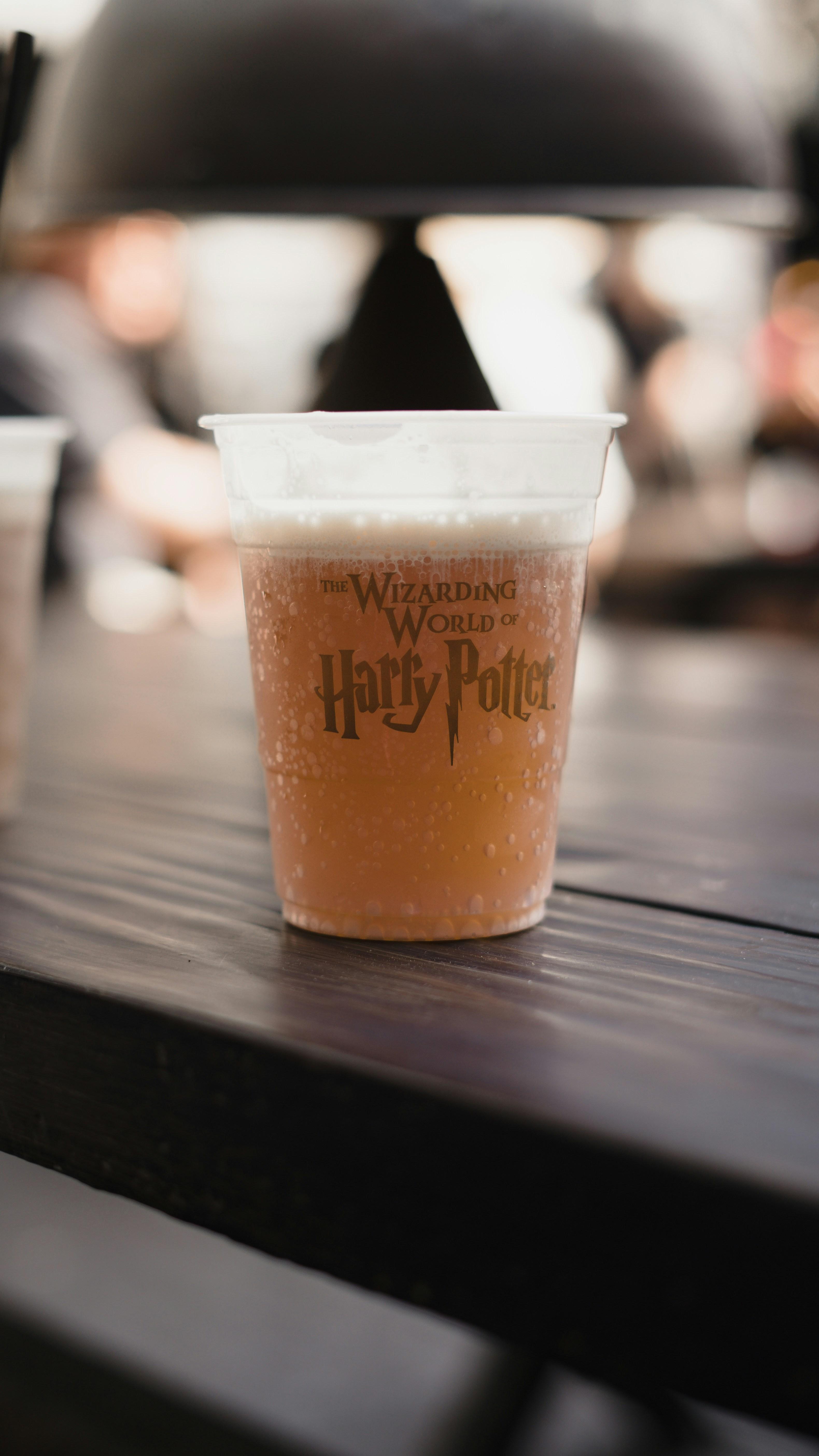 Enduring Themes and Universal Appeal in the Wizarding World